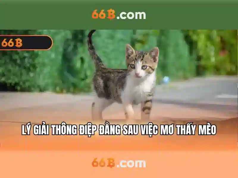 66b: khái niệm, ứng dụng và triển vọng