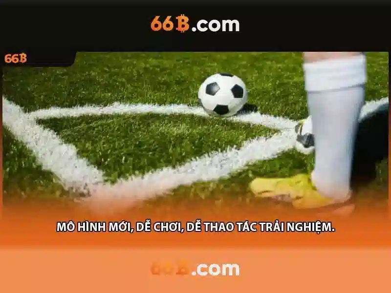 66b-nss - Từ nguồn gốc đến giá trị và ứng dụng