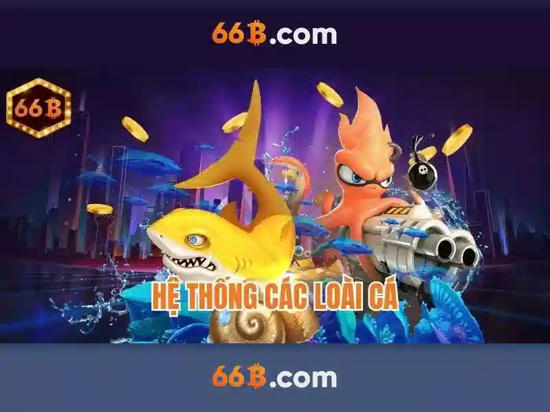 Cảnh báo rủi ro khi chơi cá cược 