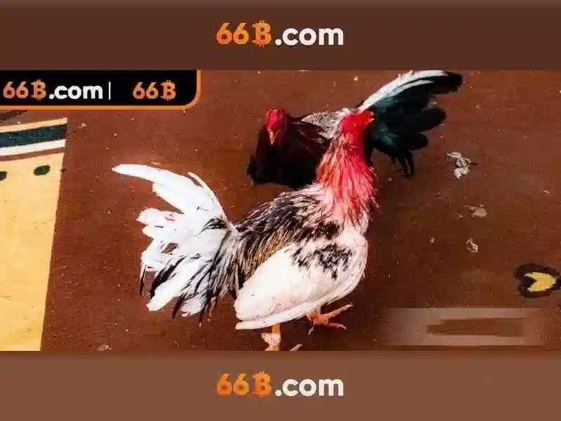 XoSoVariety### Cách đánh giá nguồn xổ số uy tín