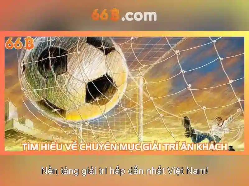 So66bIntro### 66b là gì? 