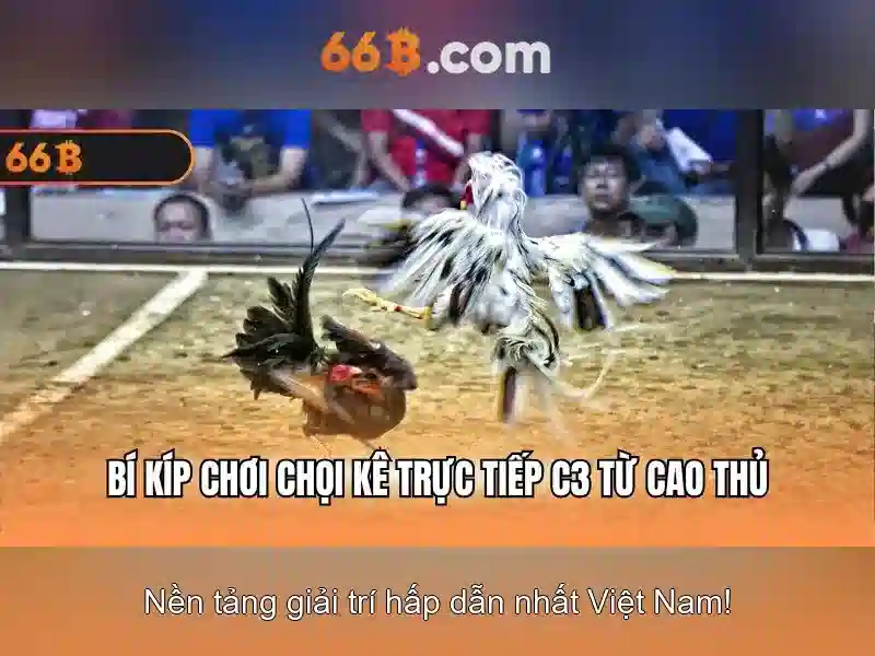 Khám phá mô hình 66b: hiệu suất, kiến trúc và ứng dụng