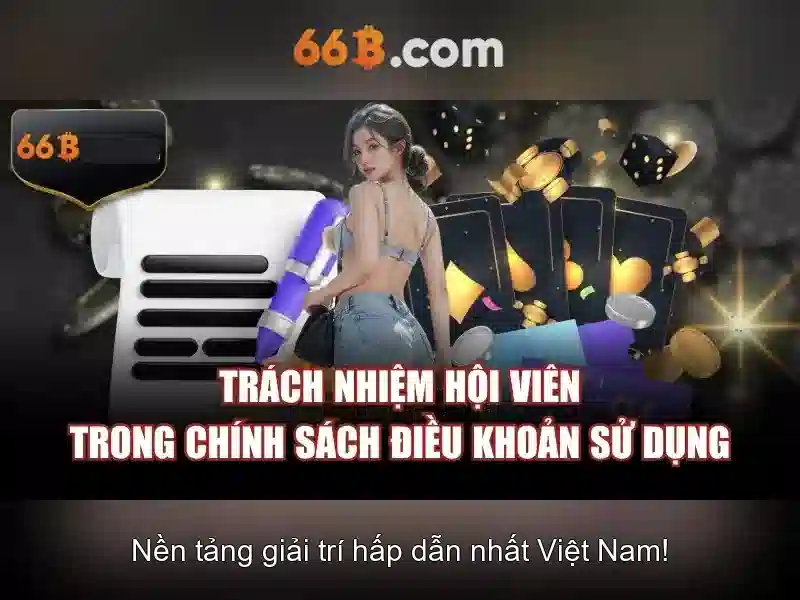 66b: một khái niệm và hành trình